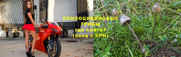 крисы Михайловка