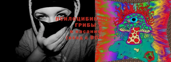 крисы Михайловка